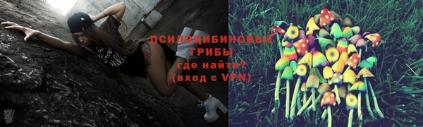кокс Кинешма