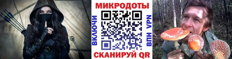 Купить закладки  Полесск  Псилоцибиновые грибы ЛСД 